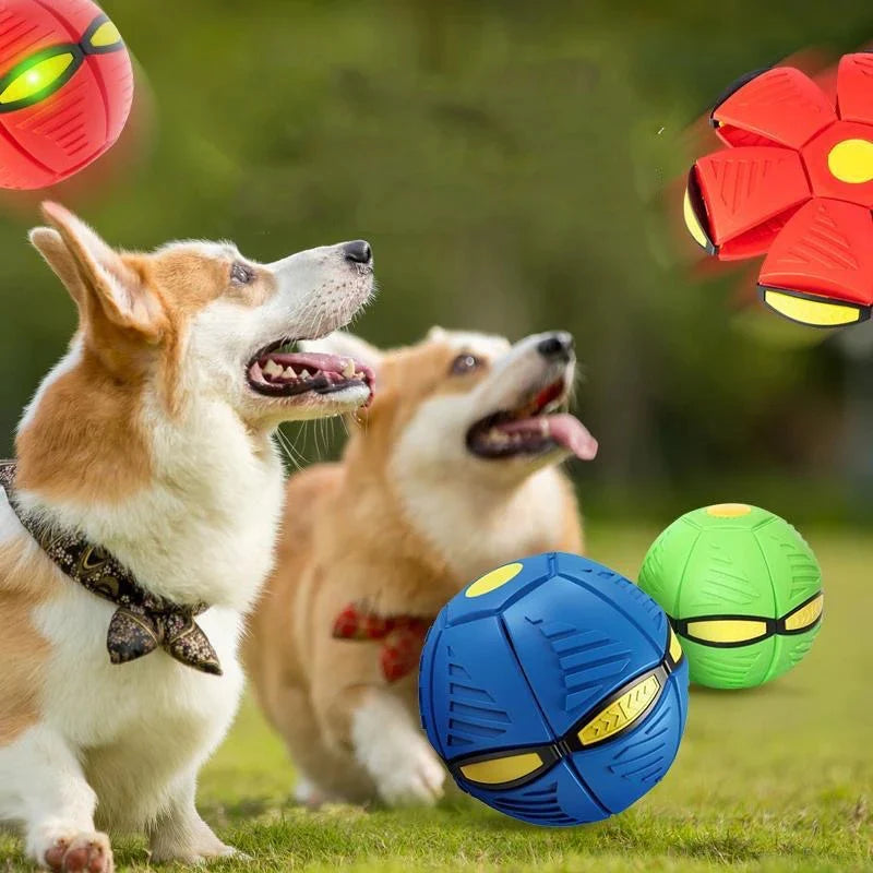 Pelota Voladora Para Mascotas® – Shopping Colombia